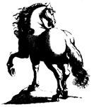 Lost Horse Press Logo